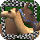 FeriaRacing APK