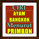 Ciri ayam bangkok Menurut Prim APK