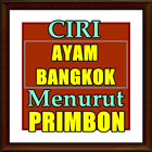 Ciri ayam bangkok Menurut Prim biểu tượng