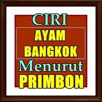 Ciri ayam bangkok Menurut Prim اسکرین شاٹ 1