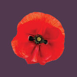 Grande Guerre: Corps, Armes...