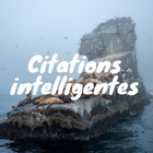 Citations icône