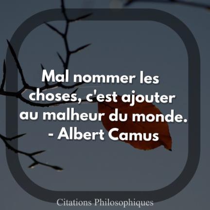 Citations Philosophiques For Android Apk Download Citations Philosophiques For Android Apk Download