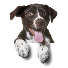 آیکون‌ StickersDogs