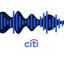 Citi Audio APK