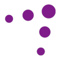 Citius DEMO