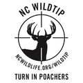 WILDTIP