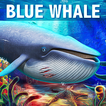 Simulatore di balene blu