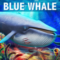 ”Blue Whale Simulator