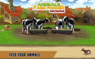 Animal Farm Fodder Growing پوسٹر