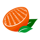 Citrus ERP icono