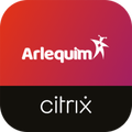 Arlequim
