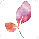 Calendario Menstrual Paula APK