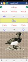 Arabic alphabet and words poster