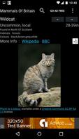 Mammals Of Britain تصوير الشاشة 2