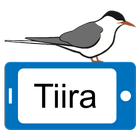 TiiraNomadi biểu tượng