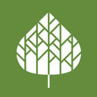 Aspen 311 icon