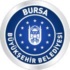 Bursa BB 3D Kent Rehberi biểu tượng