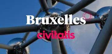 Guida Bruxelles di Civitatis