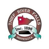 Thief River Falls icône