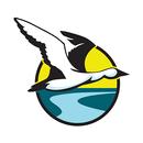 Livin' In The Creek APK