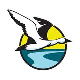 Livin' In The Creek icon