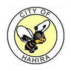 City of Hahira, GA icône