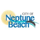 Access Neptune APK