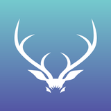 My DFB icono