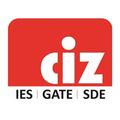 CIZ Plus: Online Learning