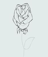 1 Schermata Come disegnare fiori passo dop