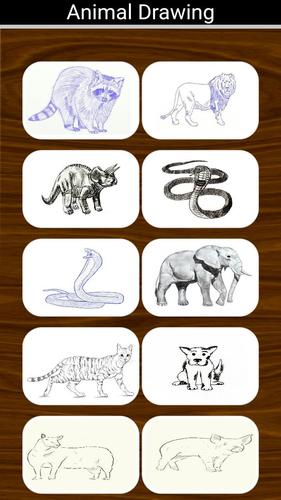 Draw Animals Step by Step APK for Android Download