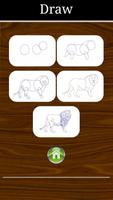 Draw Animals Step by Step 截圖 1