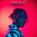 Ckay - Nwantiti APK