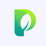 Paan Management System أيقونة