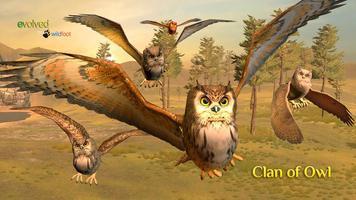 Clan of Owl Cartaz