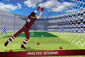 Wicket Keeper Cricket Game Cup captura de pantalla 2