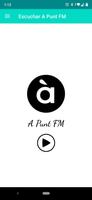 A Punt FM Radio poster