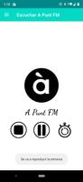 A Punt FM Radio screenshot 1