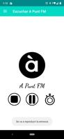 A Punt FM Radio スクリーンショット 1