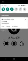 A Punt FM Radio screenshot 2