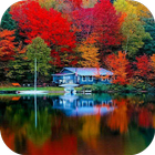 Amazing Nature أيقونة