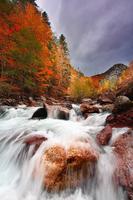 Amazing Nature الملصق