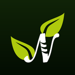 Naturale Produtos e Lanches Naturais