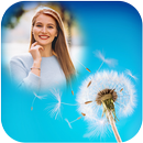 Dandelion photo frames APK