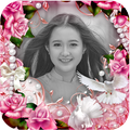 Latest Photo Frame