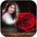 Rain Rose Photo Frame APK