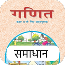 APK Class 10 Maths Solutions Hindi