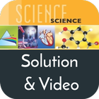Class 10 Science Solution icon