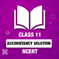 11 class Accountancy Solution